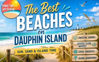 15 Things to Do on Dauphin Island for First-Time Visitors